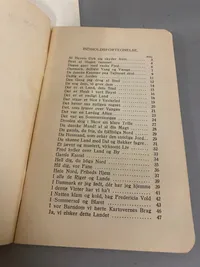 Originalt Lot på dansk soldat