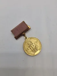 Original  Russia VDNH Exhibition Participant Work Merit Medal Screwback Badge