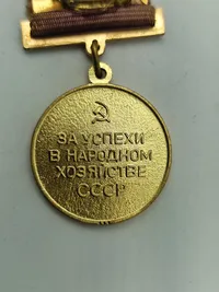 Original  Russia VDNH Exhibition Participant Work Merit Medal Screwback Badge