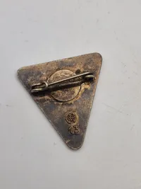 Originalt Frauenschaft badge - ww2