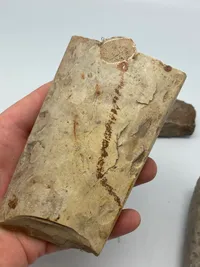 Samling originale stenøkser fra bondestenalderen