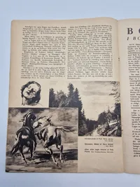 Originalt “Horisonten” det med Frikorps Danmark sangen i