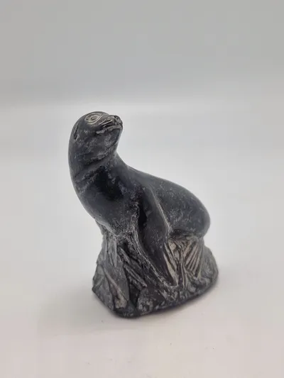 Original Grønlandica sæl