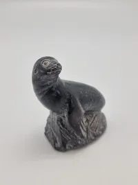 Original Grønlandica sæl