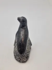 Original Grønlandica sæl