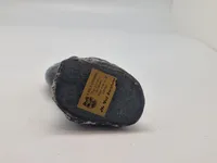 Original Grønlandica sæl