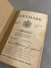 Sjældent originalt Lot på dansk Tysklandsarbejder