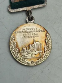 USSR Soviet Russia 1950-60 Medal Agriculture Exhibition - Sterlingsølv