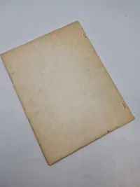 Original illegal bog - ww2