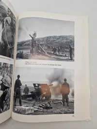 Die gebirgstruppe der Waffen-SS 1941-1945