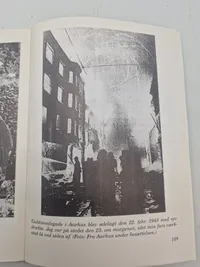 Det er jo bare tre naziunger