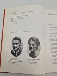 Hvorfor gjorde i det?