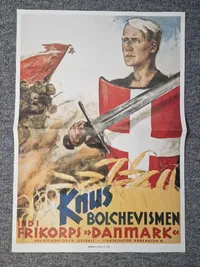 To stk DNSAP plakater - genoptryk