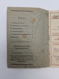 3 stk originale wehrpas - samme mand