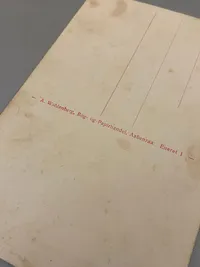 Sjældent originalt postkort med foto af Knivsbjerg som bl.a. var samlingssted for det DNSAP & DNSAP-N