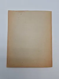 Originalt Dansk Nazistisk propaganda: Livsrum