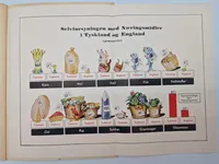 Originalt Dansk Nazistisk propaganda: - kan England vinde den økonomiske krig?