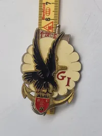 Original fransk paratroopers badge