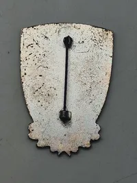 Originalt Waffen-SS veteran bagde