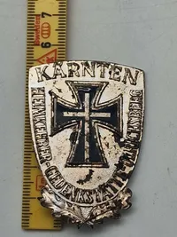 Originalt Waffen-SS veteran bagde