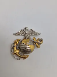 Lot originale Amerikanske militære mærker