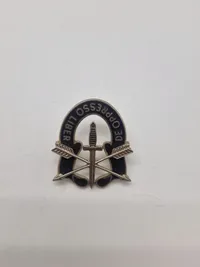 Lot originale Amerikanske militære mærker