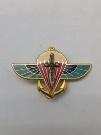 Original Insignia 2nd Marine Infantry Parachute Regiment badge