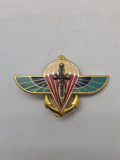 Original Insignia 2nd Marine Infantry Parachute Regiment badge