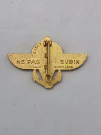 Original Insignia 2nd Marine Infantry Parachute Regiment badge
