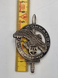 Original fransk comando badge