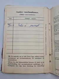 Originalt lot på dansk soldater med Guldnål 1 regiment