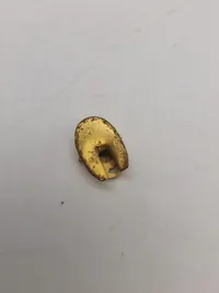 Originalt lot på dansk soldater med Guldnål 1 regiment