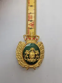 Lot originalt dansk politi
