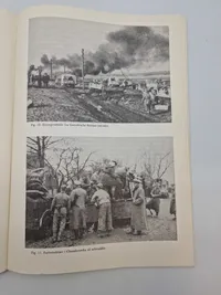 En norsk ambulance kørers oplevelser på østfronten 1943-1944, sjælden