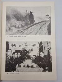 En norsk ambulance kørers oplevelser på østfronten 1943-1944, sjælden