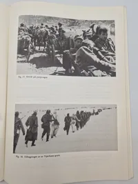 En norsk ambulance kørers oplevelser på østfronten 1943-1944, sjælden