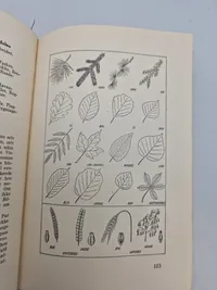 Førens bog om væbner idræt - original fra 1945