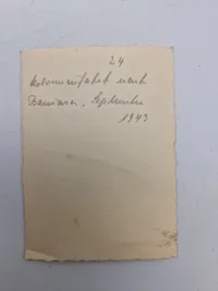 Original Waffen SS politi solbuch med foto