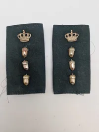 Originalt Dansk skovvæsen