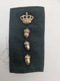Originalt Dansk skovvæsen