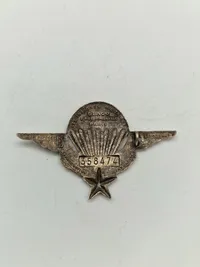Original Fransk faldskærmsvinge med nummer