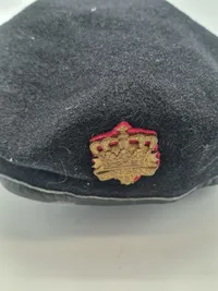 Sort hær baret