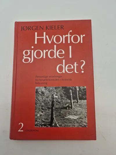 Hvorfor gjorde i det?