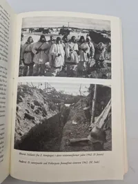 Under hagekors og dannebrog - Danskere i Waffen-SS 1940-1945
