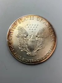 Original 1 Ounce fine silver one dollar