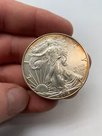 Original 1 Ounce fine silver one dollar