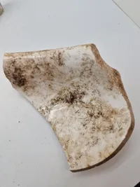 Originalt lot fra Luftwaffe dump på østfronten