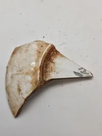 Originalt lot fra Luftwaffe dump på østfronten