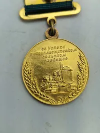Original Russia - USSR guld belagt Medal All-Union Agricultural Exhibition 1954 - 1958