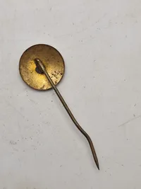 Original DNSAP parti nål